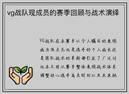 vg战队现成员的赛季回顾与战术演绎